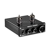 Audio signal input end can connect to the computer, CD, phone and other player for lossless audio