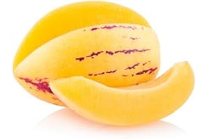 LEGUTKO Melon Birne, Melonenbirne Pepino - Solanum muricatum