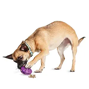 PetSafe Busy Buddy Twist 'n Treat Dog Toy, Extra Small