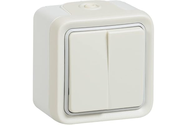 Legrand - Double interrupteur ou va-et-vient Plexo apparent - Blanc