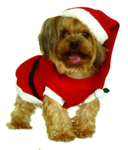 Dogs-Co-Christmas-Fancy-Dress-Dog-Costume-SANTA-PAWS-Large-22-inch-55-cm