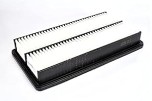 Filtron Filtro dell' aria, AP113/1