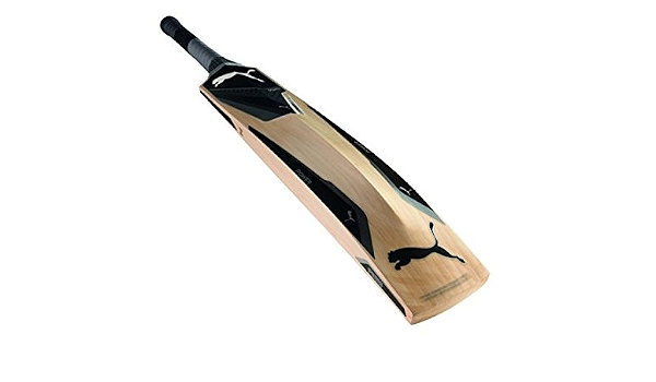 puma evopower 1 cricket bat