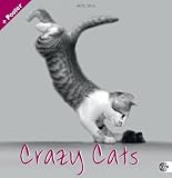 Crazy Cats 2012. Broschurkalender by 