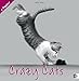 Crazy Cats 2012. Broschurkalender by 