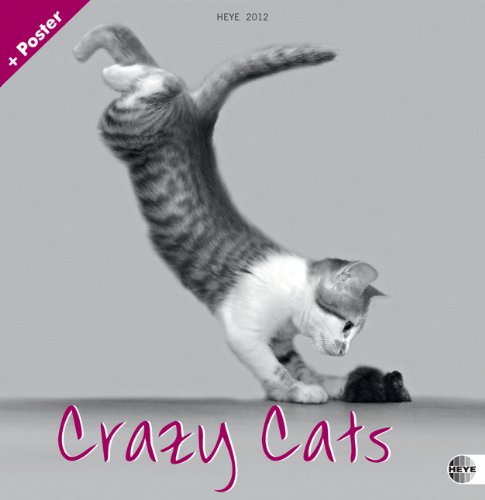Crazy Cats 2012. Broschurkalender