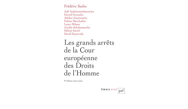 Amazon Fr Les Grands Arrets De La Cour Europeenne Des Droits De L Homme Collectif Sudre Frederic Livres