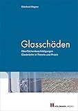 Glasschäden: Oberflächenbeschädigungen Glasbrüche in Theorie und Praxis by 