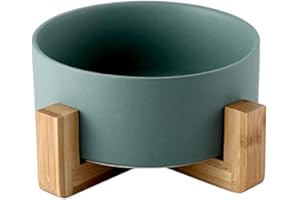 SP SEMPRE + ciotola singola per cani e gatti in ceramica da 850ML in bambù, rialzata e sollevata da terra, base antiscivolo con 4 cuscinetti (SINGOLA 15.5 CM, VERDE)