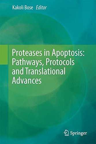Preisvergleich Produktbild Proteases in Apoptosis: Pathways, Protocols and Translational Advances