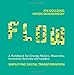 Flow: A Handbook for Change Makers by Fin Goulding, Haydn Shaughnessy
