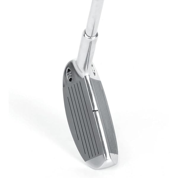 Buy Golf Gods - The Big Dick Putter in Silver Online at Low Prices