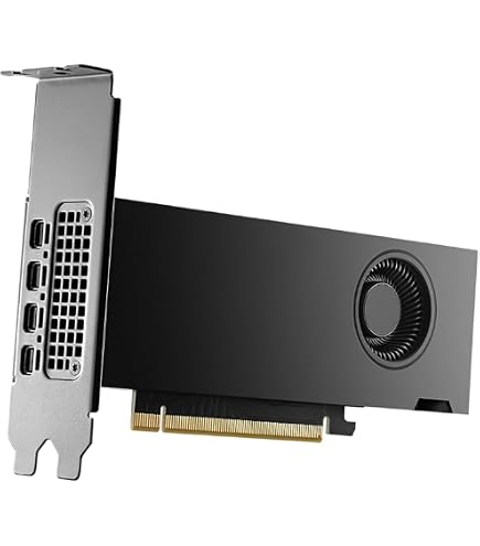 Amazon.in: Buy PNY NVIDIA RTX 2000 Ada Generation 16GB GDDR6 128