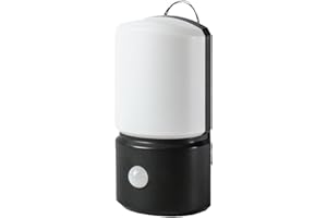 Festive Lights Lampe de Sécurité à LED Blanche avec Détecteur de Mouvements à Piles - Extérieur ou Intérieur - Suspension ou Fixation Murale - Waterproof