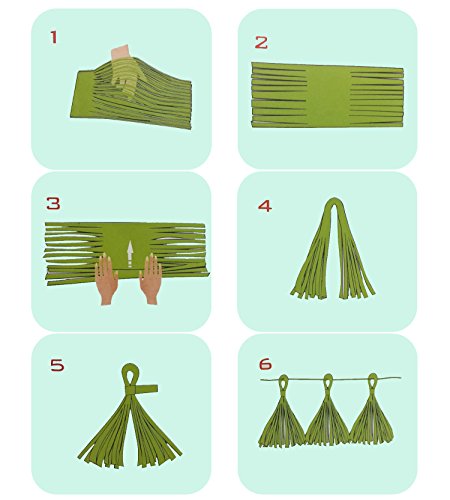 Wartoon 6 Seidenpapier Pompons Blumen und 12 Quasten Girlande, 2 Polka Dot Papier Girlande, 10 Luftballons Latexballons für Geburtstag, Hochzeit, Baby Dusche, Parteien, Partei Dekoration - 7