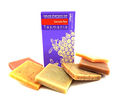 Beauty and the Bees Shampoo Sample Box with Six Samples Rosemary Mint, Beer, Moroccan Mud, Eggcellent, Lemon and Chamomile and Voodoo Bamboo