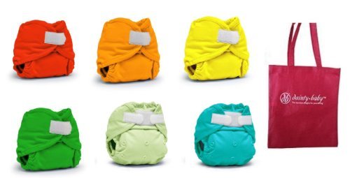 Rumparooz Newborn Cloth Diaper Covers, 6 pack, Gender Neutral Colors with Reusable Dainty Baby Bag Bundle (Aplix)