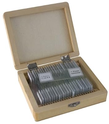 Bresser Lames préparées 25 pièces/coffret