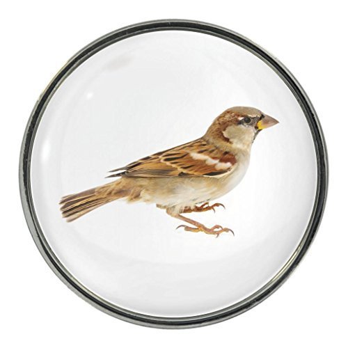 Preisvergleich Produktbild Sperling Bild Metall 25mm Anstecker