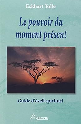 Ariane Le pouvoir du moment présent - Guide d'éveil spirituel-