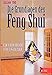 Die Grundlagen des Feng Shui: Ein Praxisbuch für Einsteiger (Delphi bei Droemer Knaur) by