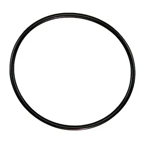 Pentair 350013 Lid O-Ring Replacement Pool and Spa Pump