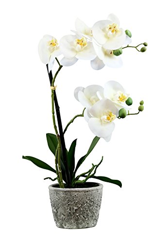 Dekoflower - Künstliche Orchidee creme-weiß im Steintopf 50 cm