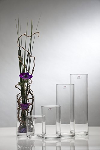 Glasvase Cyli klar zylindrisch 20 cm Ø 9 cm hot cut von Sandra Rich - 2