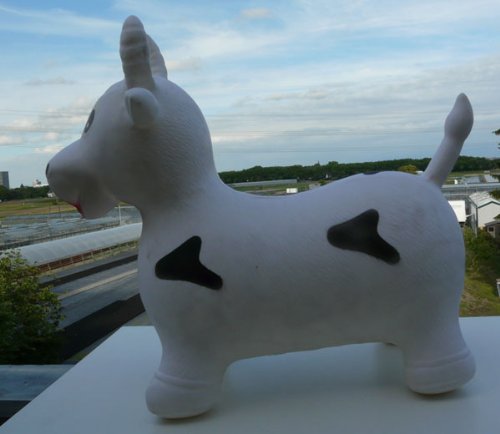 Hüpftier Hüpfkuh kuh in weiß - 5