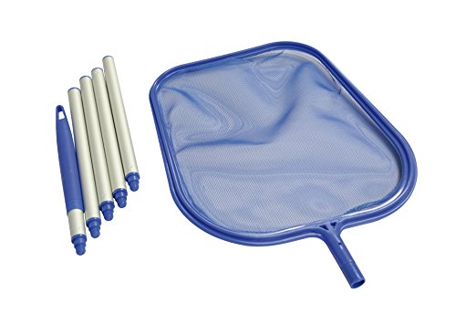 Steinbach Poolreinigung Laubkescher mit 1.5 m Alustange, für Teleskopstange, Blau, 240x320 mm