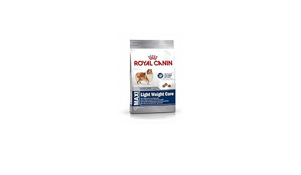 maxi light royal canin