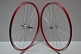Cicli Ferrareis Ruote MTB 26 6v Cerchi 26 MTB Rosse 1 Personalizzabile