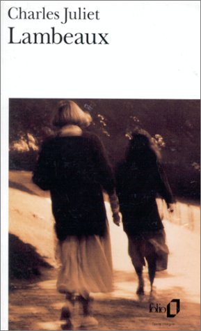 couverture de : Lambeaux