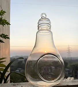 Clear Glass Hanging Flower Vase Planter - Bulb