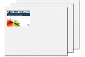 Raylu Paper – Papier Cartonné 50 x 65 cm Coloré, 25 Feuilles Cartonnées, Papier Epais de Couleur, pour l’Ecole, le Bureau, le Scrapbooking, les Activités Manuelles, 180g/m² (Blanc)