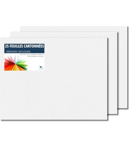 50 Feuilles Cartonnées Blanches A2 – 250 G/m² – Idéales Pour Créations Manuelles, Affiches, Cartes De Vœux – Parfait Pour Bureau Et école