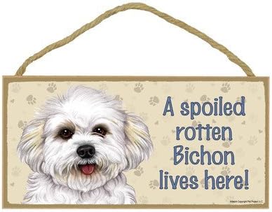A spoiled rotten Bichon (puppy cut) lives here wood sign plaque 5 x 10