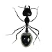 Segolike Solar Powered Lobster Animals Play & Learn Educational Solar Toys for Kids RS.275.00