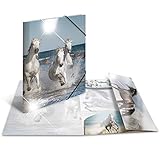 Jurismappe aus abwischbarem und strapazierfähigen Kunststoff für Zeichnungen, Papiere, Bilder, Unterlagen und Blätter