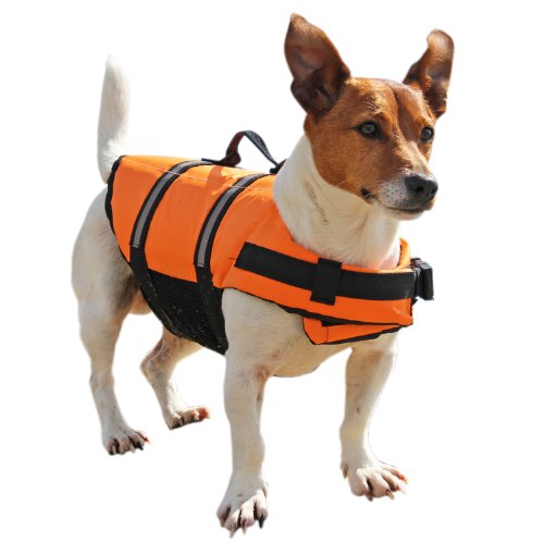 GoSea-Dog-Lifejacket