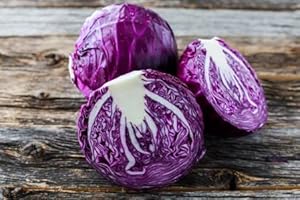 ROOT SOURCE Red Cabbage Plug Plants Grow Your Own Vegetables (6 Plugs)