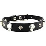 Dogs Kingdom Totenkopf Charm Nieten Strass Schnalle Leder Katze Hund Halsband Haustier Halskette