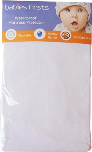 Babies Firsts Jersey Cotton Mattress Protector (140 x 70 cm)