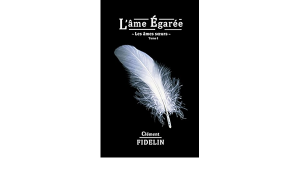 L Ame Egaree Les Ames Sœurs T 1 Ebook Fidelin Clement Amazon Fr L Ame Egaree Les Ames Sœurs T 1 Ebook Fidelin Clement Amazon Fr