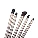 douself® 5PCS Fashion Eyeshadow Brushes Set Makeup Brushes Kit Eye Makeup Tool with Round Tube Case Gold