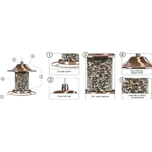 Perky-Pet Panorama Mangiatoia per Uccelli in Rame, 312C