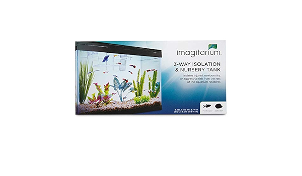 imagitarium fish tank