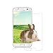 Produktbild iTURBOS [2 Stück] Schutzfolie für Samsung Galaxy S7, Vollständige Abdeckung Galaxy S7 Displayschutzfolie Blasenfrei, Anti-Fingerabdruck, Full HD Ultra-klar, Einfache Installation