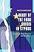 A Diary of the Euro Crisis in Cyprus: Lessons for Bank Recovery and Resolution (English Edition) by