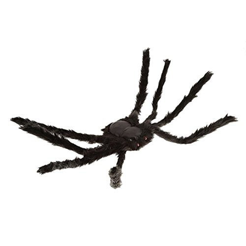 Spider,Halloween Decoration Haunted House Prop Outdoor Indoor Wide Colorful and Black (30cm, Black) reviews Spider,Halloween Decoration Haunted House Prop Outdoor Indoor Wide Colorful and Black (30cm, Black)